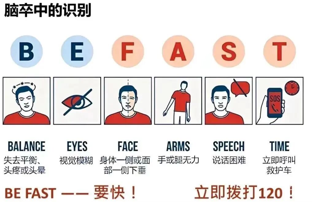 【每周科普】中国卒中地图使用手册 - 脑医汇