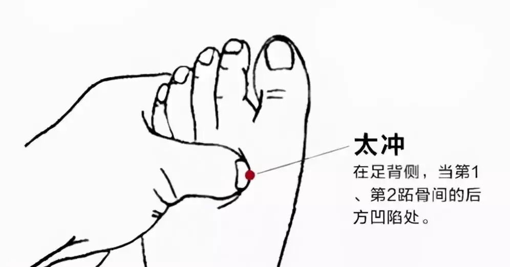 足厥阴肝经:太冲穴(人体太冲穴,和足三里在哪里啊)-经络穴位-大道家园