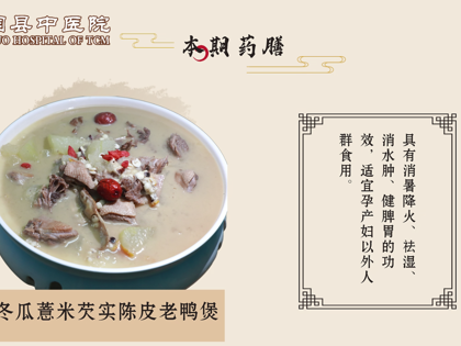 药膳-冬瓜薏米芡实陈皮老鸭煲